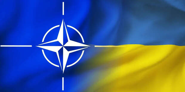 Полковник Уилкерсон: НАТО и Европа бросит Украину после завершения конфликта