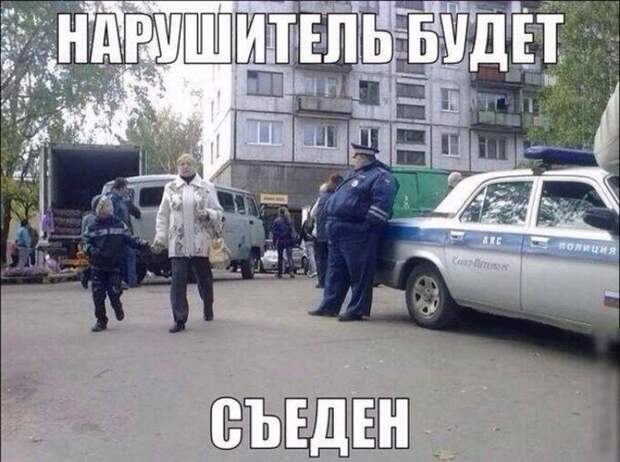 Картинки по запросу прикольные фото с надписями ржач