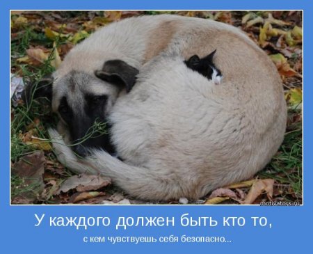 Мотиваторы интересные. Нет ничего постояннее...