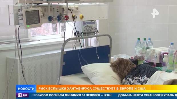 Пассажиры лайнера могли заразиться хантавирусом во время экскурсии на свалку