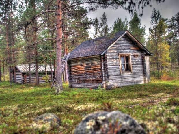 Большинство финнов в середине лета отправляются отдохнуть в лесные дачные домики география, интересная страна, красота, куда поехать, независимость, праздник, туризм, финляндия
