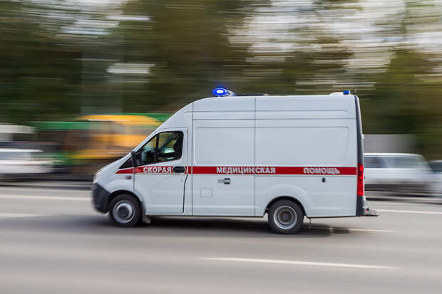 Замглавбуха ИЦиГ СО РАН найден мертвым в рабочем кабинете