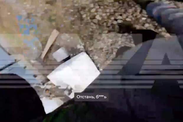 Появилось видео, как сотрудники РЖД гонятся за зацепером, спрыгнувшим с "Сапсана"
