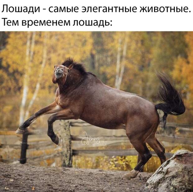 www.vsyako.net