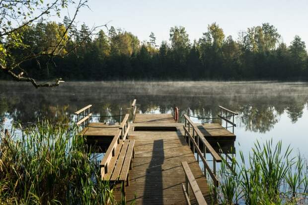 Жизнь эстонских болот: чёрная вода, мостки и биотуалет с опилками