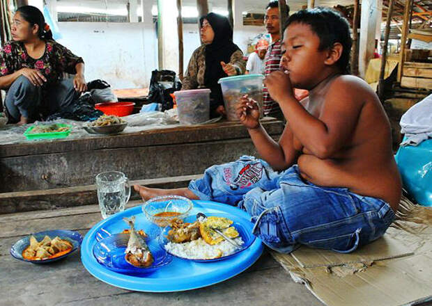 Toddler03 4 летний индонезиец бросил курить и начал обжираться