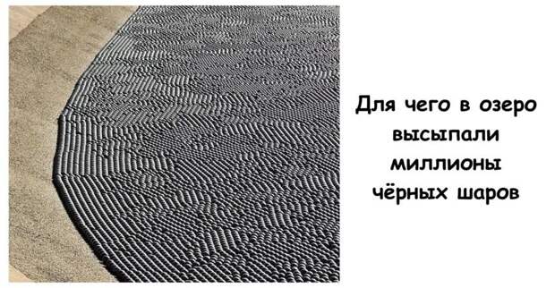 Для чего в озеро высыпали миллионы чёрных шаров