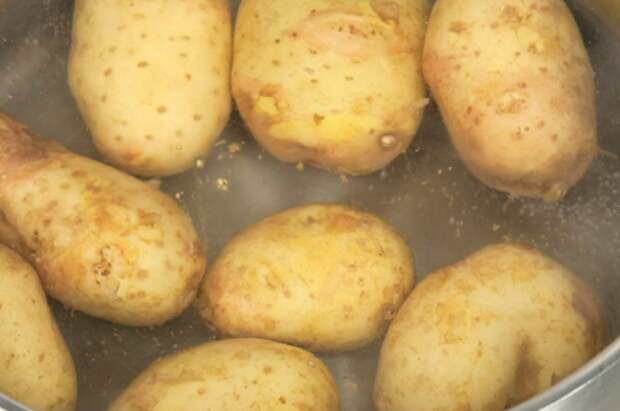 Картошка в воде на ночь. Водный картофель. Картофель в водичке. Картофельные глазки. Здоровая картошка.