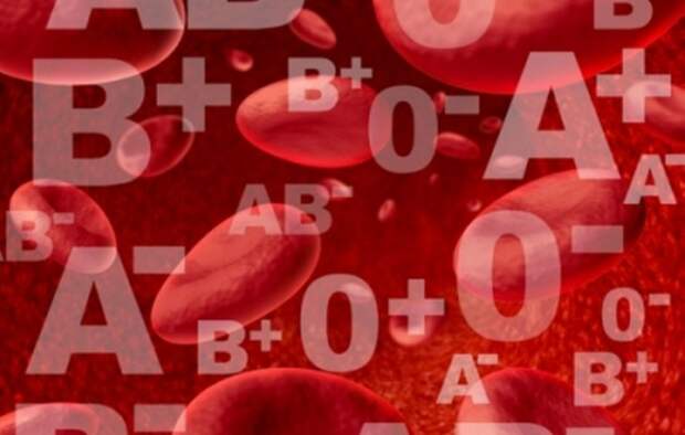 Что расскажет о тебе твоя группа крови