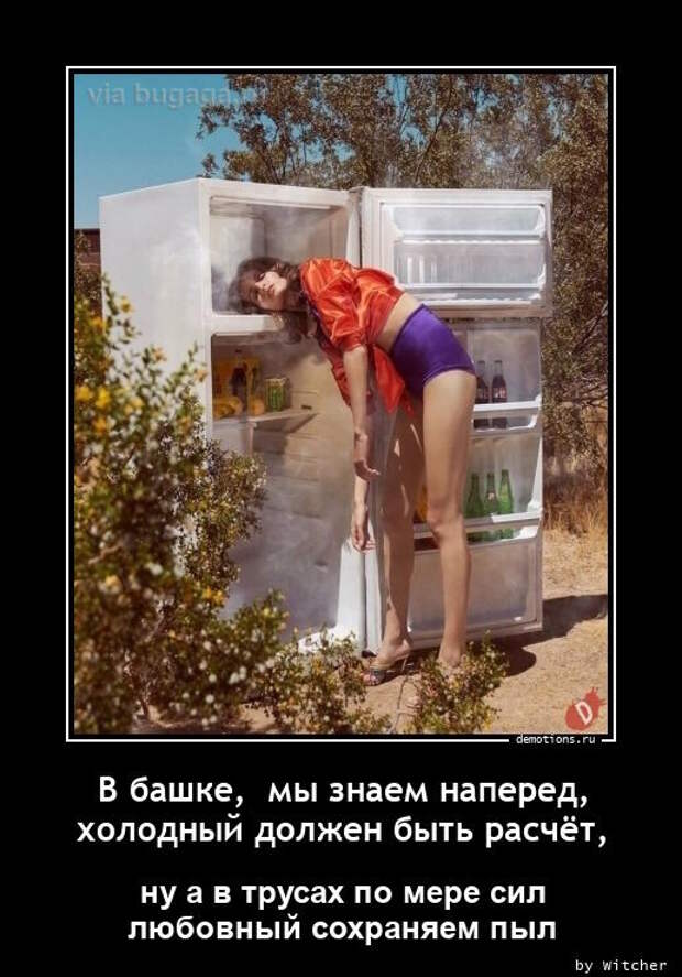 Свежие демотиваторы-приколы (18 шт)