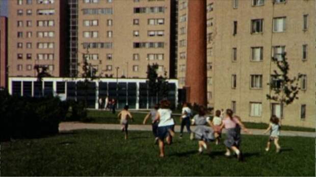 5 5