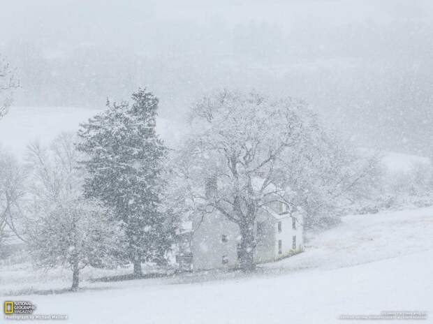 natgeowllpprs28 natgeowllpprs28 990x742 Обои для рабочего стола от National Geographic за апрель 2013