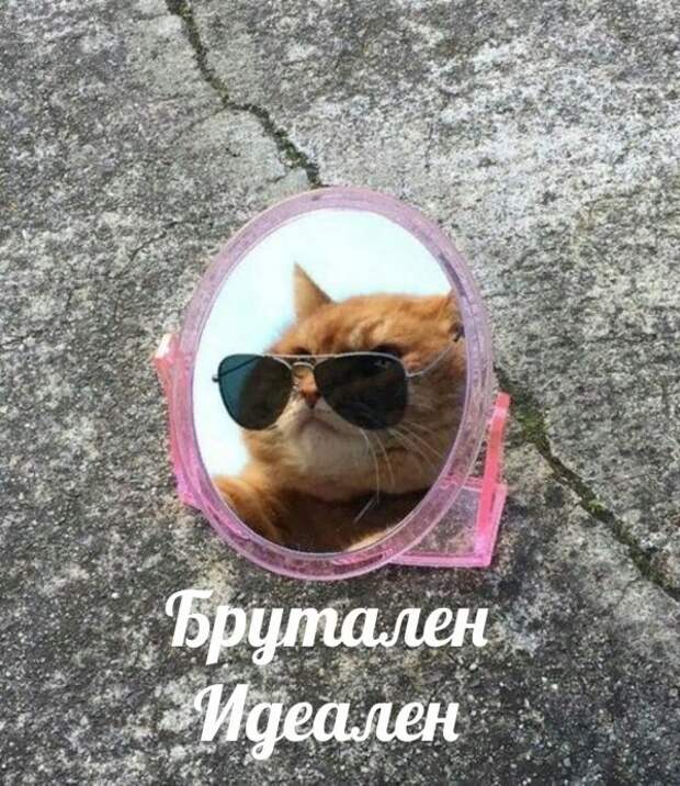Шутки и и забавные картинки из социальных сетей (33 фото)