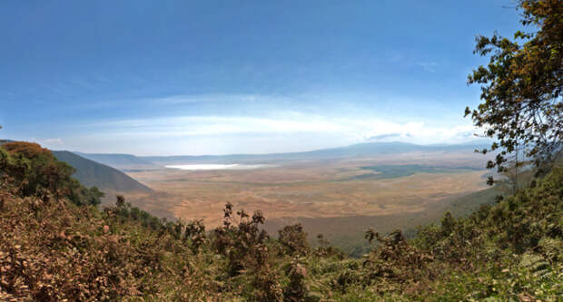 Клуб путешествий Павла Аксенова. Танзания. Panorama of Ngorongoro Crater. Фото tr3gi - Depositphotos