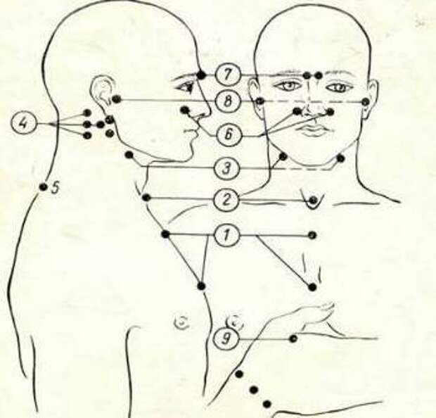 Иммунитет точка. Точечный массаж для повышения иммунитета. Уманская точечный массаж. Мочевые точки при пальпации. Точки иммунной системы за ушами.
