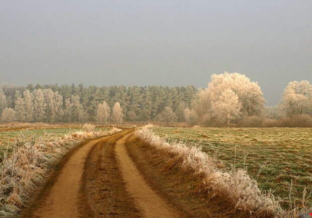 Красивые фотографии