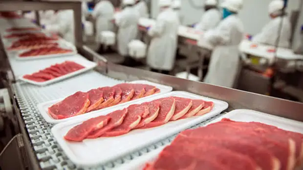 От стволовой клетки до котлеты. Перспективы мяса из пробирки