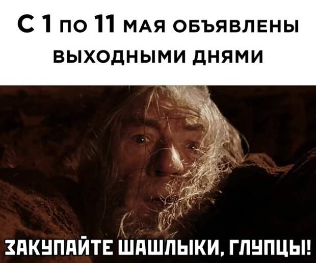 Смешные картинки 23 апреля 2021