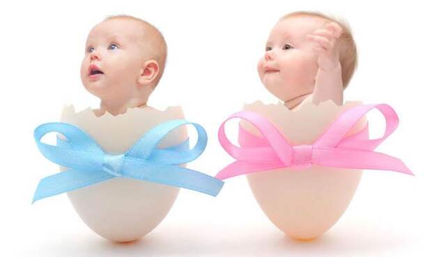 Интересные факты о беременности, Девочка или Мальчик Интересные факты о беременности, Девочка или Мальчик