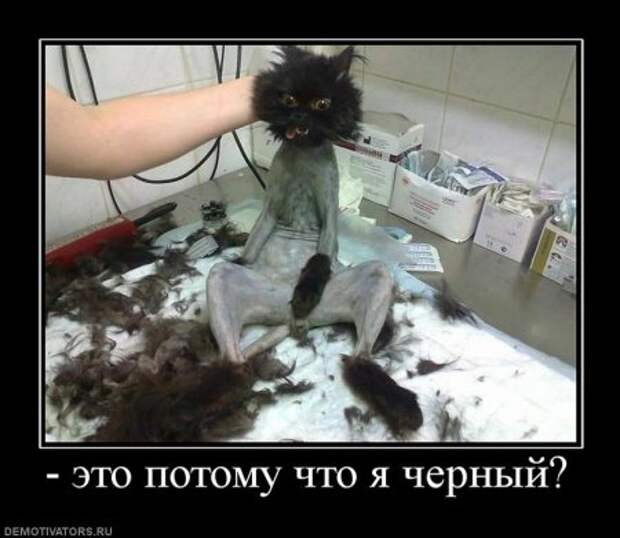 Очередная порция демотиваторов новых и смешных!
