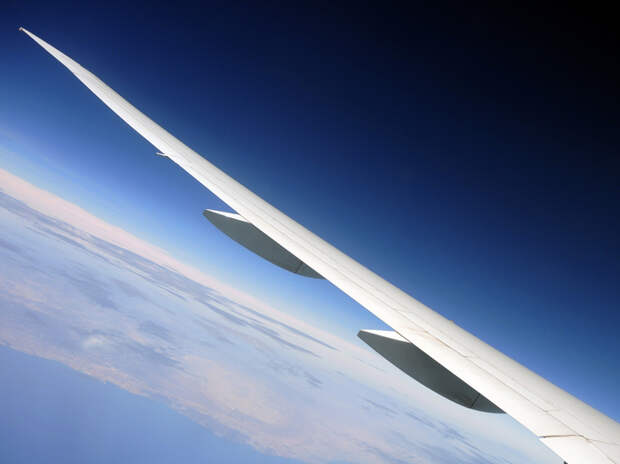 Сотрудница Пентагона скончалась на рейсе из Вирджинии в Сеул — в иске указывают на панику экипажа