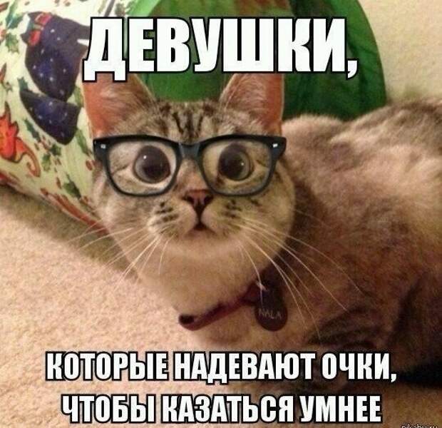 Похожее изображение