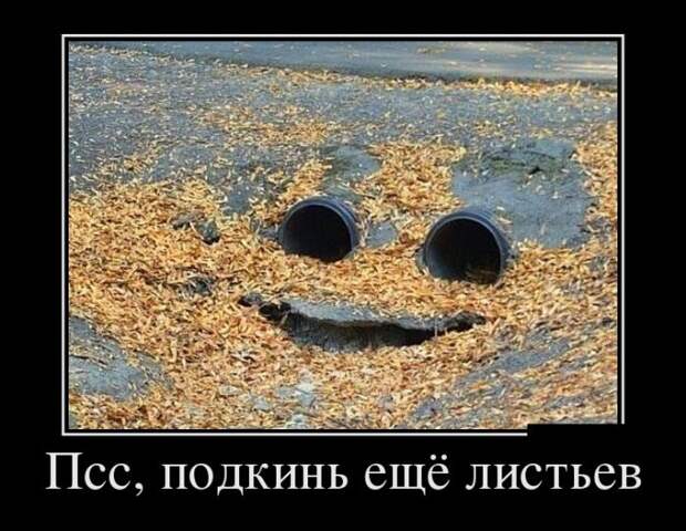 Демотиваторы (30 фото)