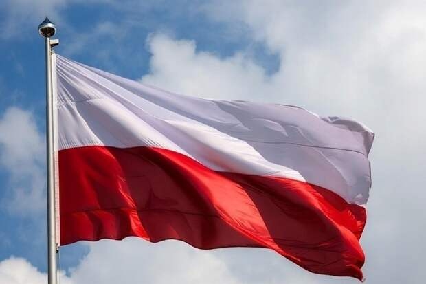 Отец задержанного археолога Бутягина объяснил, почему сын отправился в Польшу