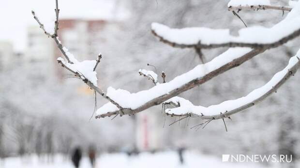 На Урале высота снежного покрова достигла 87 см