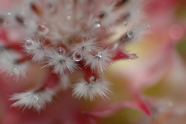 Есть только миг между прошлым и будущем... Есть только миг между прошлым и будущем...