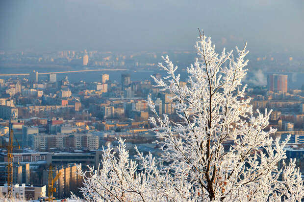 В Саратове дорогу на Волгоград переименовали в Сталинградское шоссе