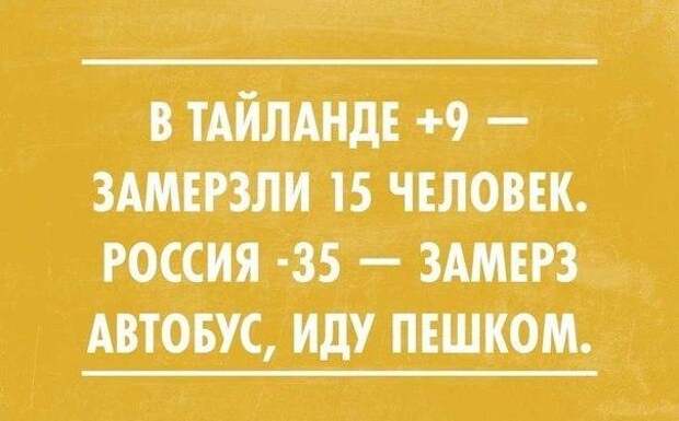 Подборка автоприколов. Часть 169 автоприколы, приколы