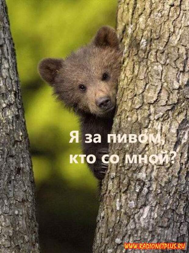 УРА!!! Сегодня пятница