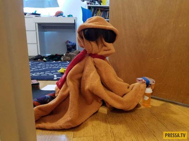 Прикольные фотографии