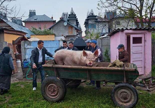 Простая жизнь цыганских миллионеров из города Бузеску барон, бузеску, роскошь, цыгане