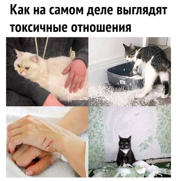 @psychology_funny  #юмор #смешное #приколы