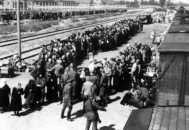 Прибытие заключенных в Освенцим #Фотографии, #история, #факты, .война