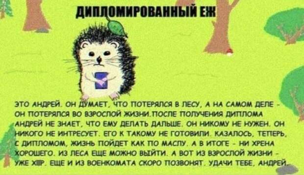 Лучшие шутки и мемы из Сети