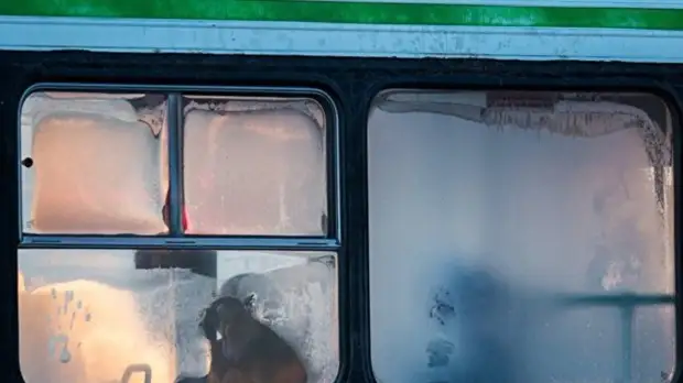 Кондукторам в Тюмени напомнили о недопустимости высаживать детей из автобусов