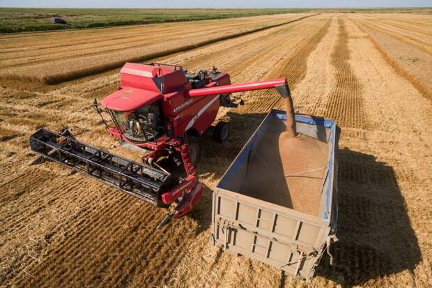 Путин отметил вклад Краснодарского края в продовольственную безопасность России