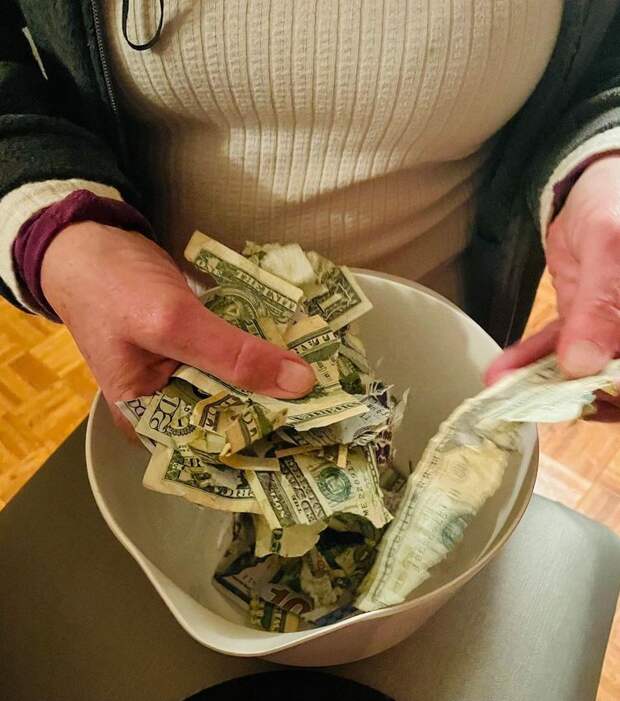 Они тут же пожалели о принятом решении, но было уже поздно