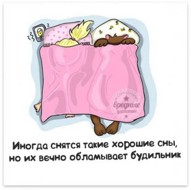 Жизненные мысли :-))