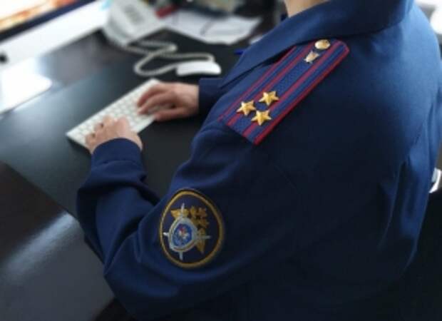 Председателю СК России представят доклад о нарушении прав несовершеннолетней в Новгородской области