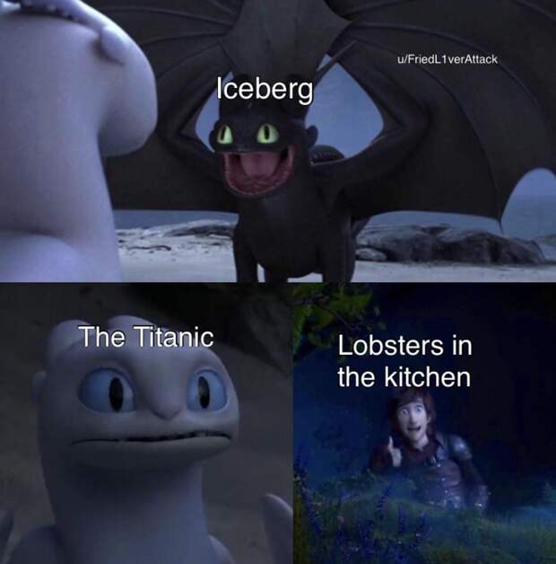 Toothless dragon and Light Fury memes