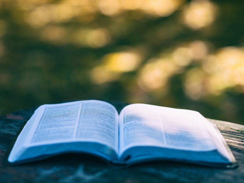 Книга. Фото: pixabay.com