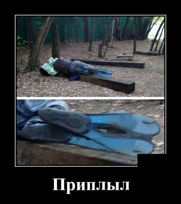 Демотиваторы (30 фото)