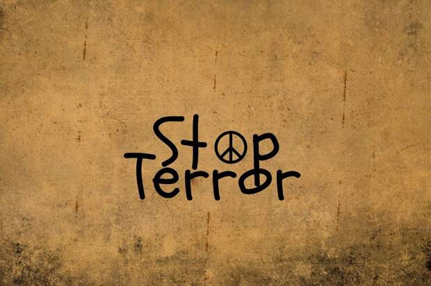 Подросткам рассказали, как противостоять террористам Фото: pixabay.com
