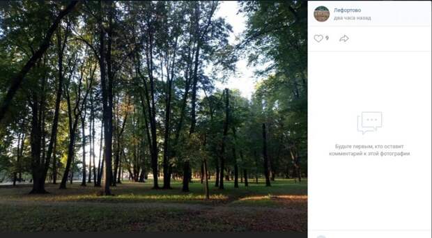 Фото дня: в лефортовском лесу