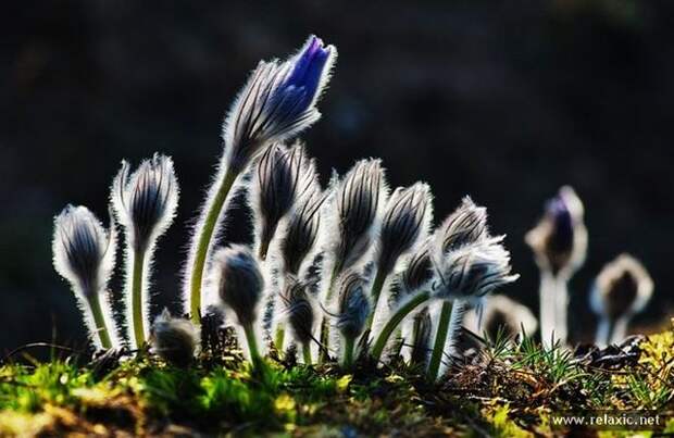 Andris_Eglitis_016