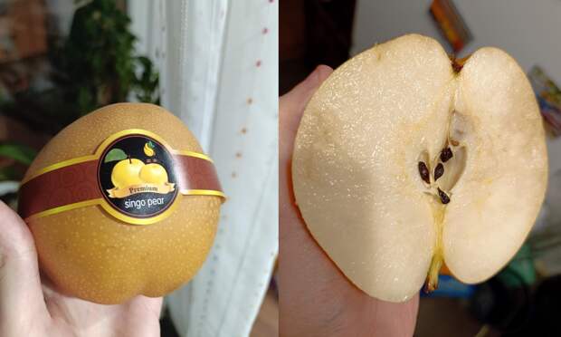 На полках магазинов Архангельска появились груши-гиганты